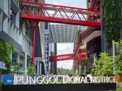 Blk 442A Punggol Point Cove (Punggol), HDB 4 Rooms #511111331